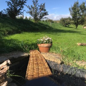 Hedgehog Pond Ramp, Wildlife Conservation