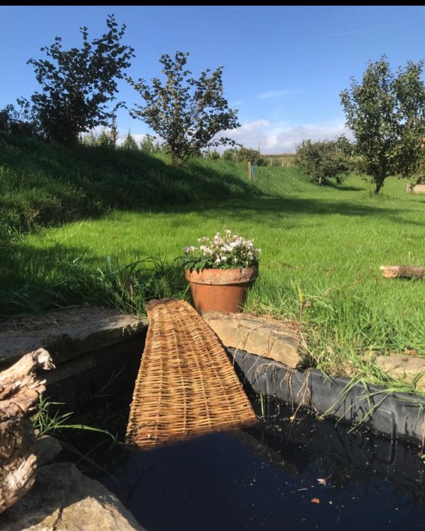 Hedgehog Pond Ramp, Wildlife Conservation