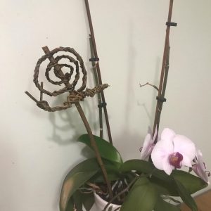 Willow snail sculptures, plant pot decorations, house plant, garden sculptures, bugs, animal sculptures, 9th anniversary, eco friendly,
