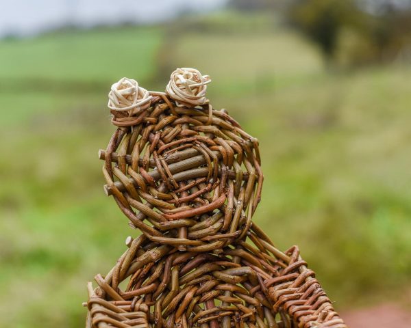 Willow frog sculpture, pond decoration, yard art, plant pot decorations, gardener gift, frog  gift, 9th wedding anniversary, eco friendly - Image 2