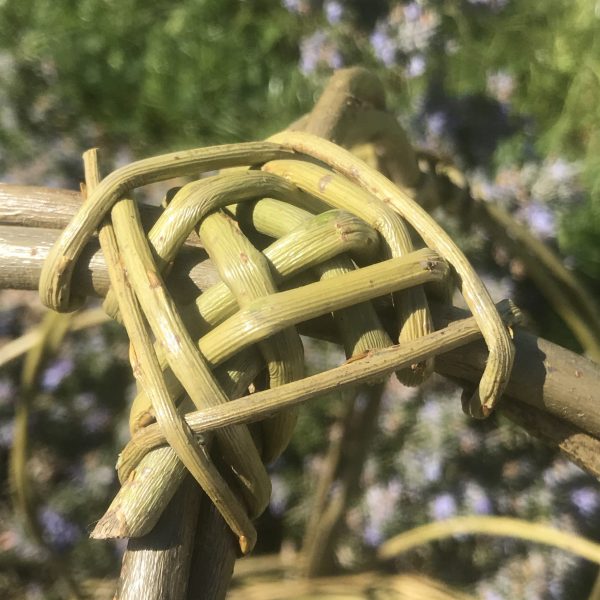 Willow plant support, peony support, willow cloche, garden gift, eco friendly, garden decor, willow gardener gift, 9th anniversary, - Image 2