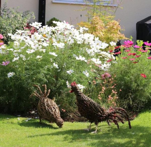 Willow chicken and cockerel, Farm animal, garden sculptures, 9th anniversary, chicken sculptures, eco friendly, garden decor, - Image 3